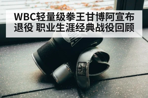 boxing gloves